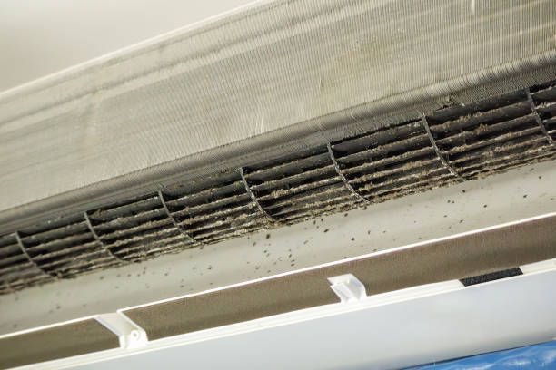Best Affordable Air Duct Cleaning  in Lake Carmel, NY